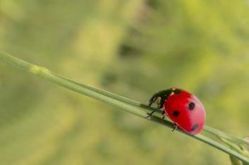 couleurs photos